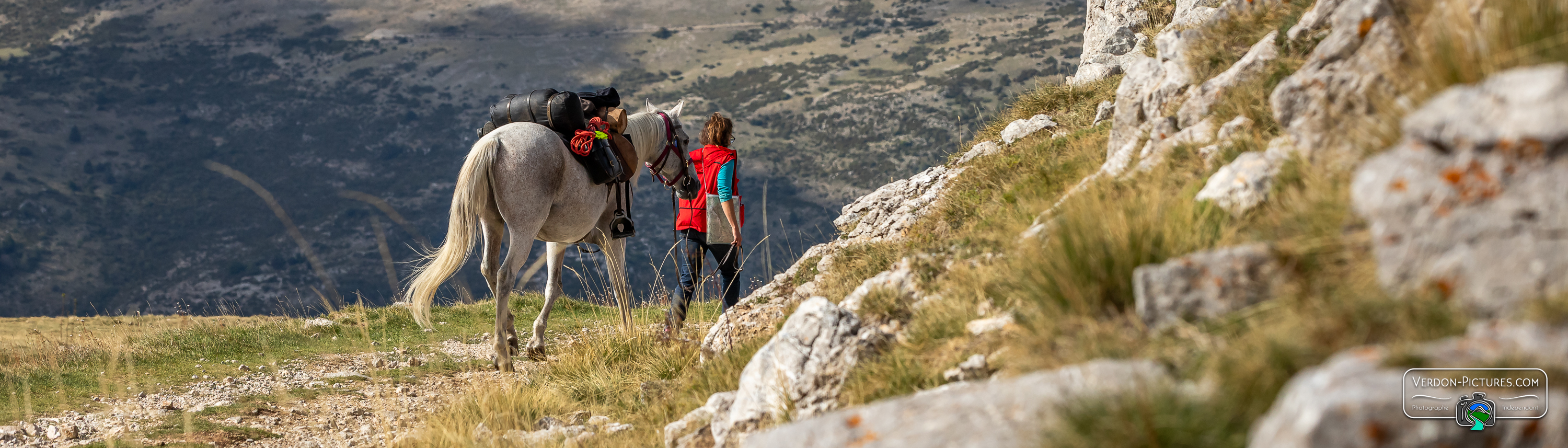 photo equestre