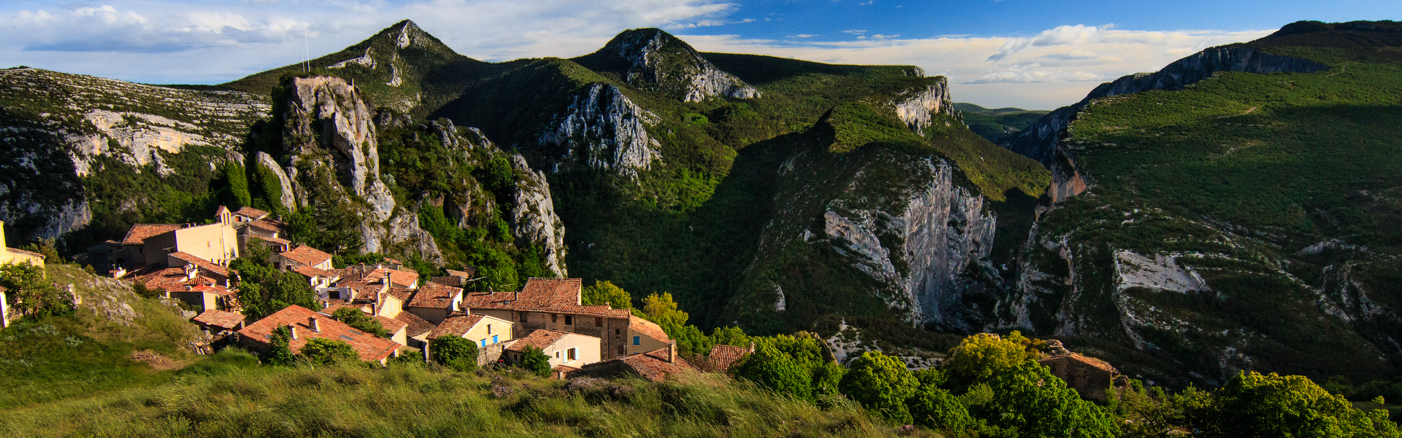 Rougon1